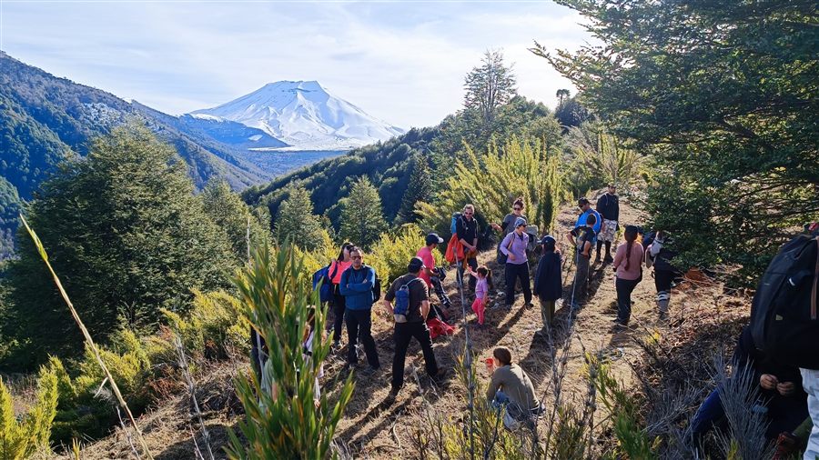 Grupo explorando el territorio en la cordillera del sur